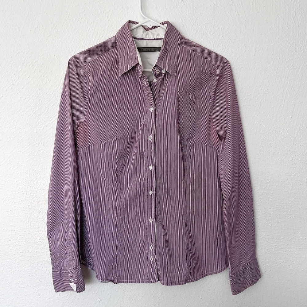 Zara Micro Pinstripe Button Down
